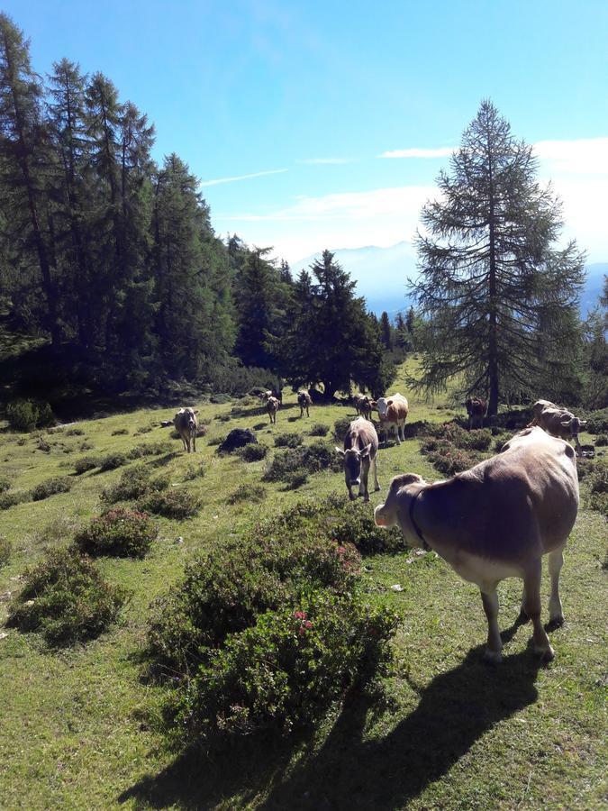 Berghotel Schlickeralm 1.616 M Fulpmes Kültér fotó